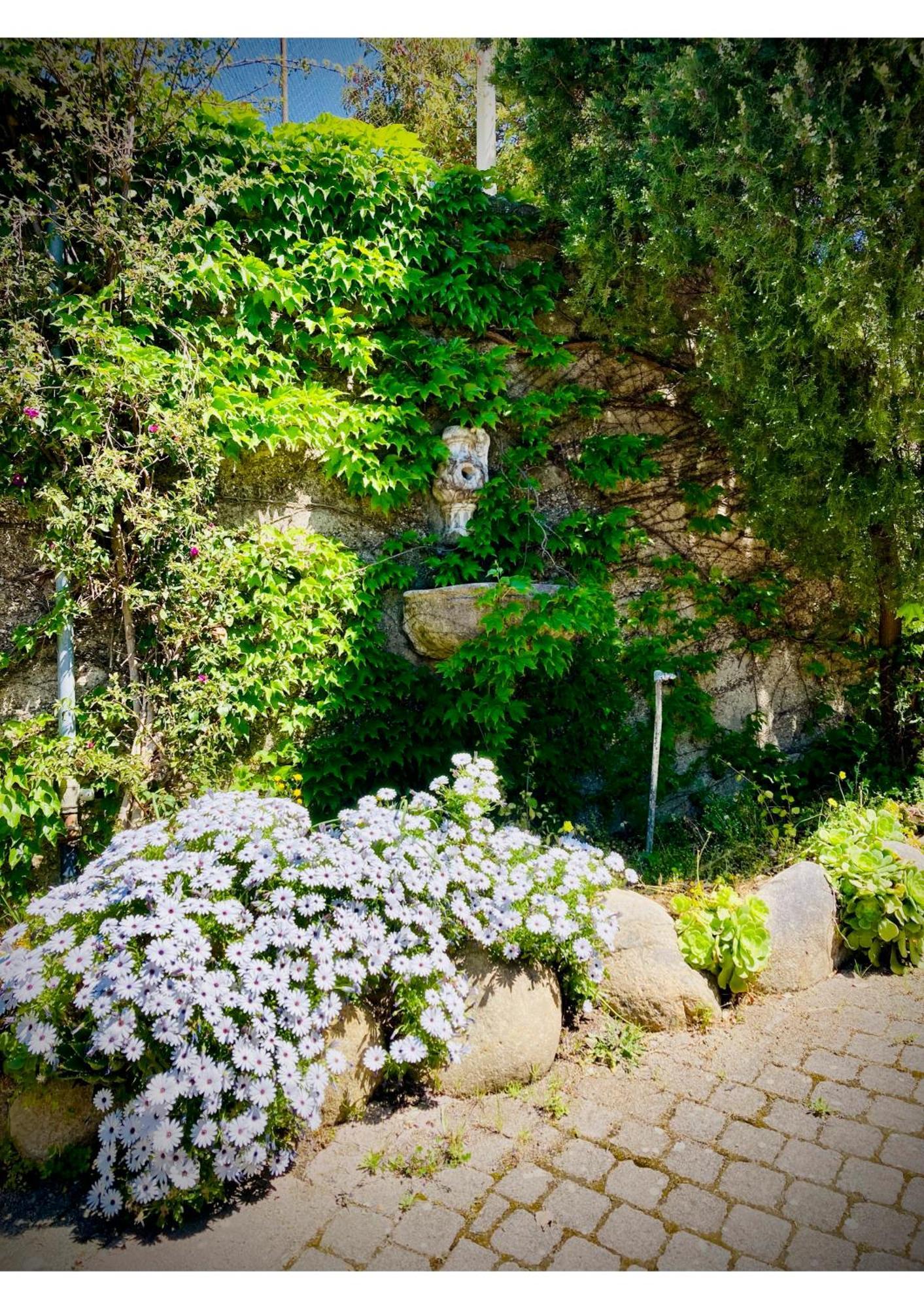Villa Scilla E Cariddi Messina Exterior photo